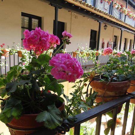 Apartamento Alameda Seville Exterior photo